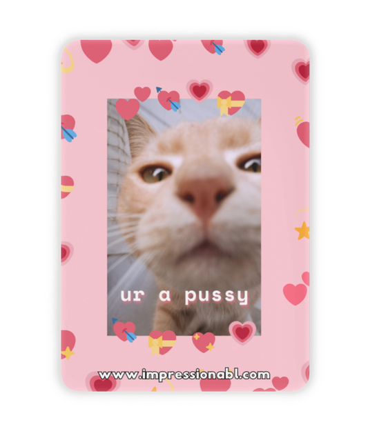 You're a Pussy - Ceramic Fridge Magnet