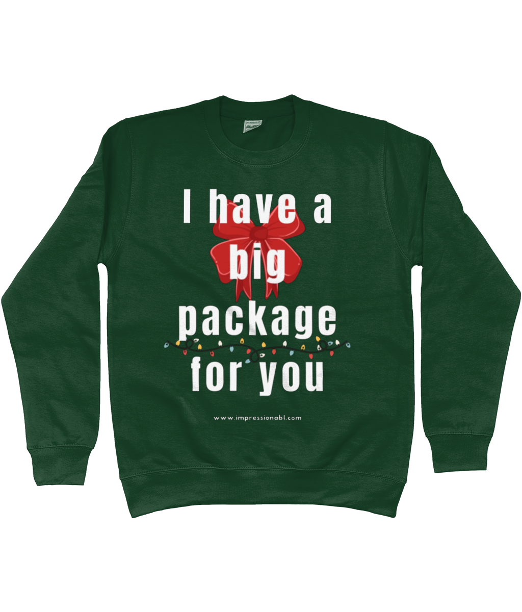 I Have a Big Package For You - Christmas Jumper